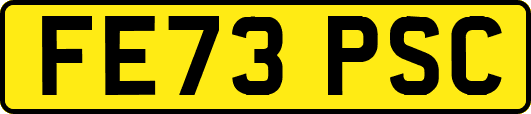 FE73PSC