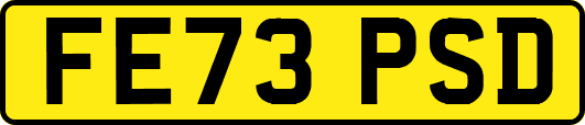 FE73PSD