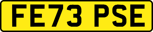 FE73PSE