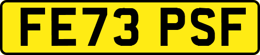 FE73PSF