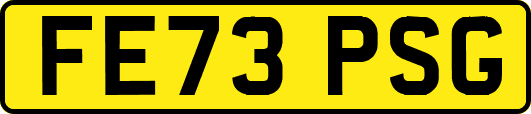 FE73PSG