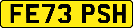 FE73PSH