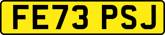 FE73PSJ