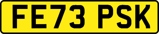 FE73PSK