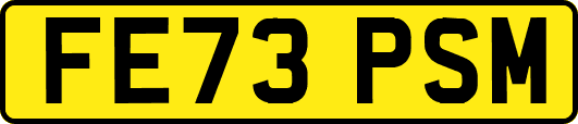 FE73PSM