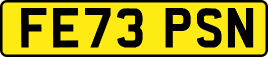 FE73PSN