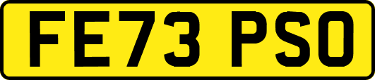 FE73PSO