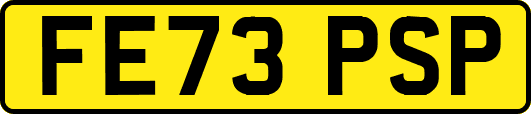FE73PSP