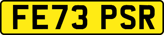 FE73PSR