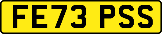 FE73PSS