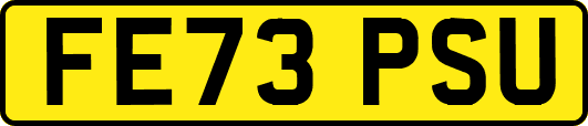 FE73PSU