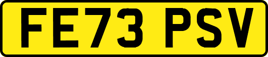 FE73PSV
