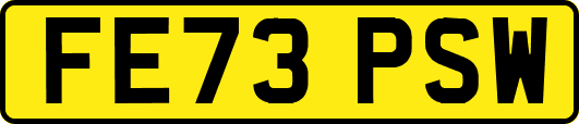 FE73PSW