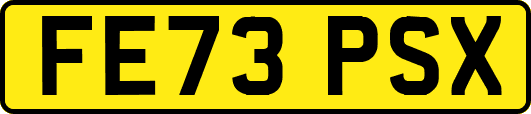 FE73PSX