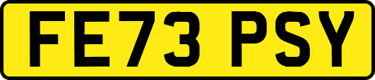 FE73PSY