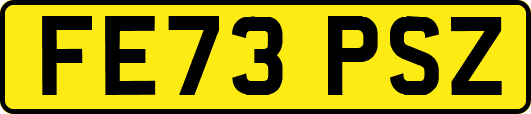FE73PSZ