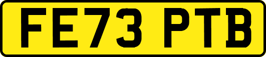 FE73PTB