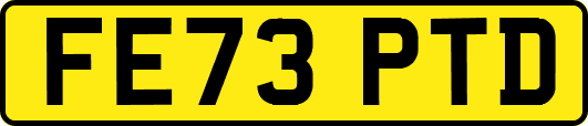 FE73PTD