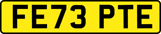 FE73PTE