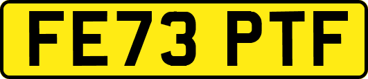 FE73PTF