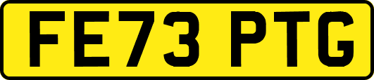 FE73PTG