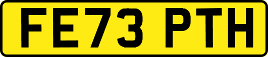 FE73PTH