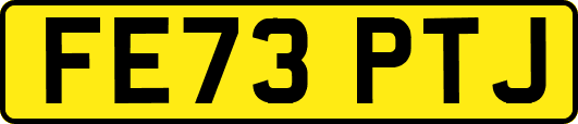 FE73PTJ
