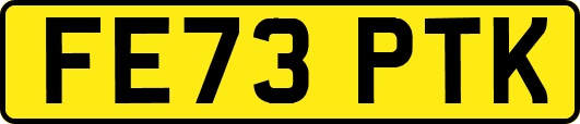 FE73PTK