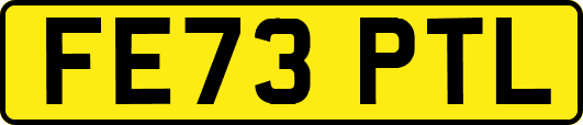 FE73PTL