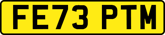 FE73PTM