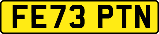 FE73PTN