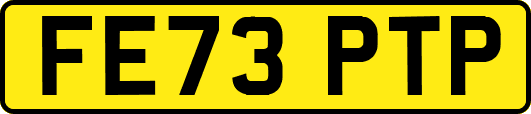 FE73PTP