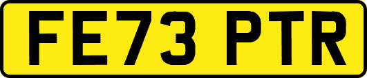 FE73PTR