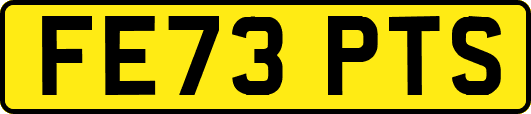 FE73PTS