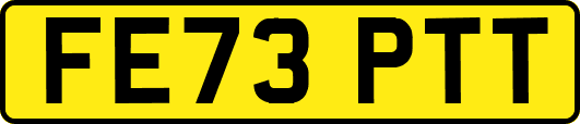 FE73PTT