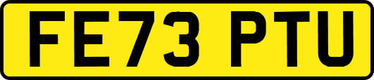 FE73PTU
