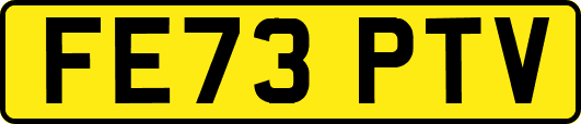 FE73PTV