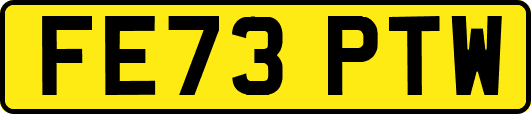 FE73PTW