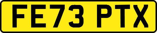 FE73PTX