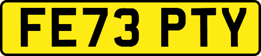 FE73PTY