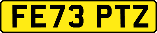 FE73PTZ