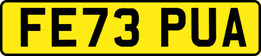 FE73PUA