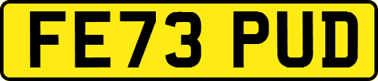 FE73PUD