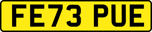 FE73PUE
