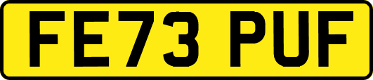 FE73PUF