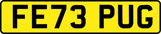 FE73PUG
