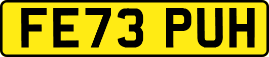FE73PUH