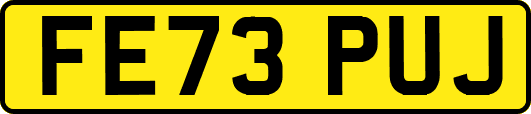 FE73PUJ