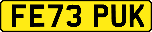 FE73PUK