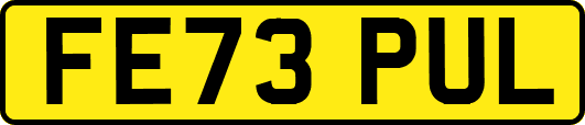 FE73PUL